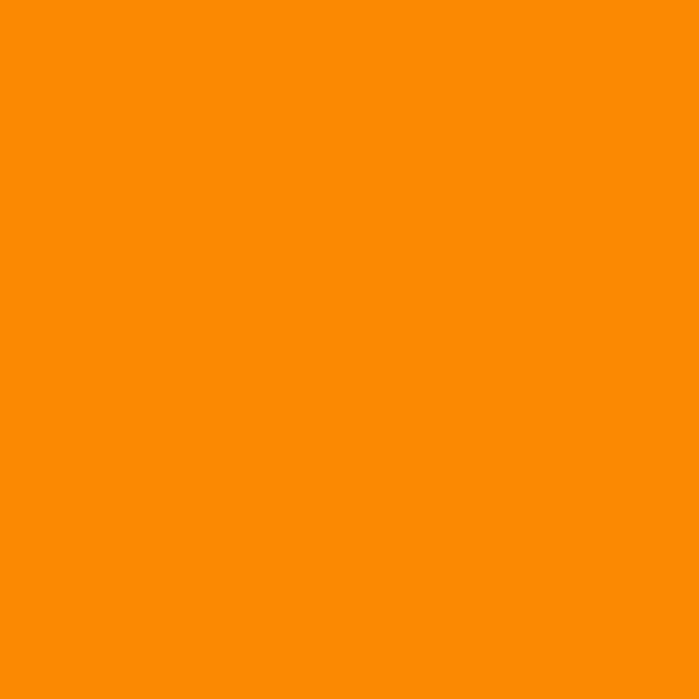 Droogbloemen door de brievenbus (M), Oranje