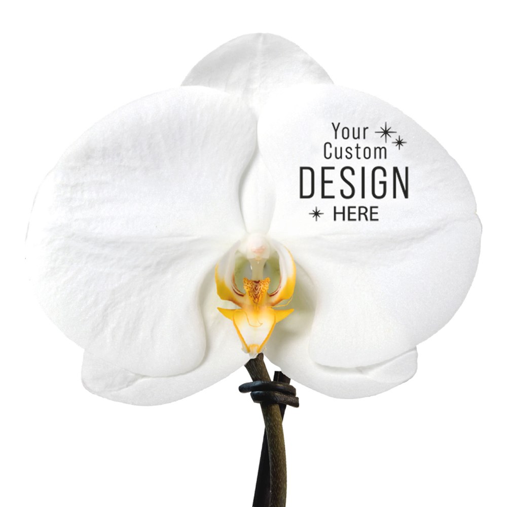 Message Printz® - Orchidee in giftbox